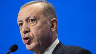 Turkey's President Recep Tayyip Erdogan speaks during a media conference at the G20 summit.