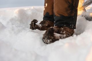 Traditional Sami shoes made from the skin of reindeer on Longastunturi mountain near Kiruna, Sweden.
