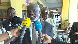Sudanese minister says the country will achieve democratic transition