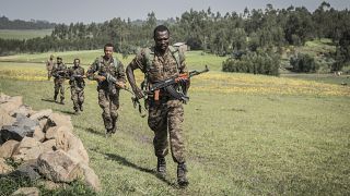 Tigray: Oromo forces pose greater threat to Ethiopia's federal gov't