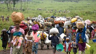 DRC: Three civilians and four ADF rebels killed in Beni
