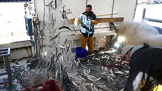 Licences de pêche : les ports français souffrent et espèrent une solution rapide