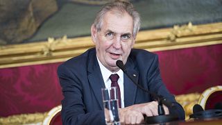 Czech President Milos Zeman addresses the media in April 2019.