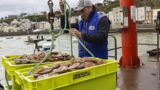 Γάλλος ψαράς που δεν του δόθηκε άδεια αλιείας στα βρετανικά χωρικά ύδατα