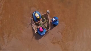 Mujeres mexicana restaurando los manglares de la zona de Yucatán
