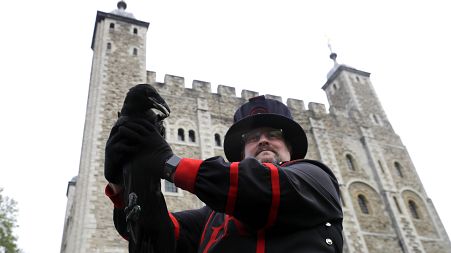 Visitors will be invited to the Tower of London in May 2022 for the experience