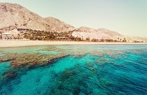 The Red Sea is a sought-after diving destination.