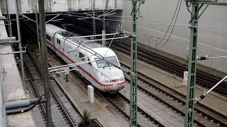 The attack took place on an ICE train close to the city of Nuremberg (file photo)