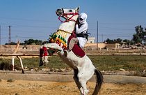 Syrians hold horse race festival in war-torn Raqa