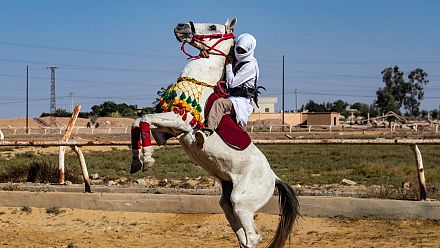 Syrians hold horse race festival in war-torn Raqa