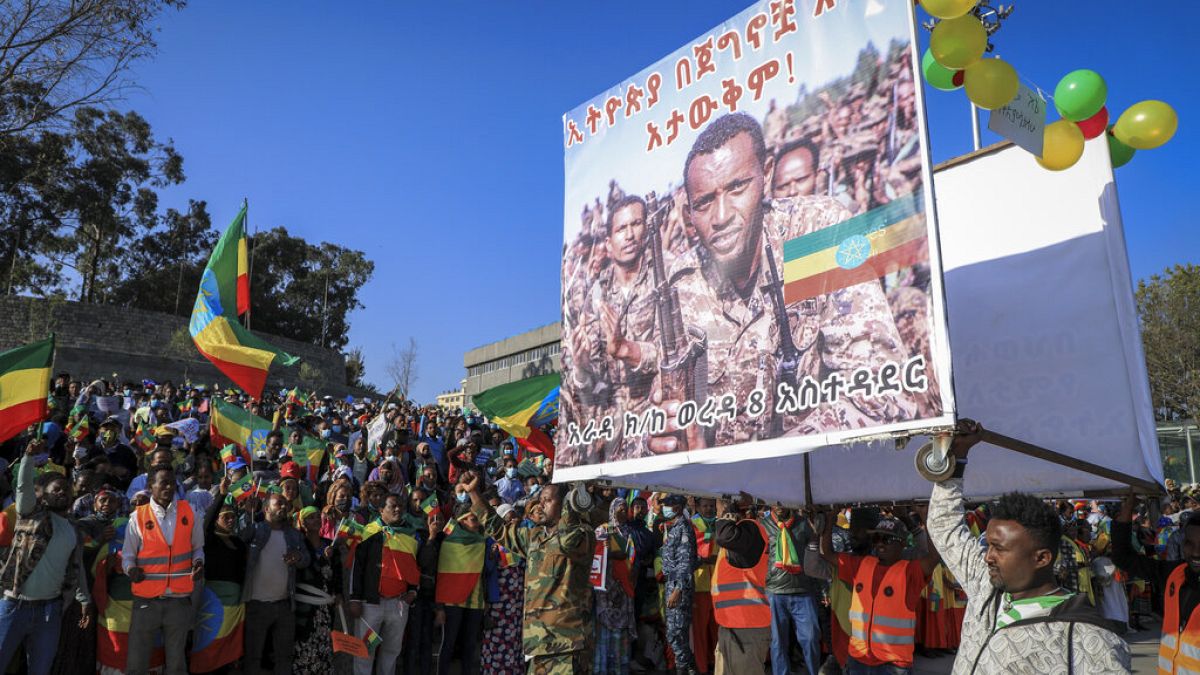 Φιλοκυβερνητικές διαδηλώσεις στην Αντίς Αμπέμπα της Αιθιοπίας