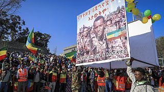 Φιλοκυβερνητικές διαδηλώσεις στην Αντίς Αμπέμπα της Αιθιοπίας