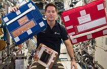 توما پیسکه، فضانورد فرانسوی
