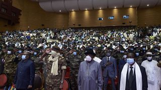 ECOWAS imposes individual sanctions on coup plotters in Guinea, Mali