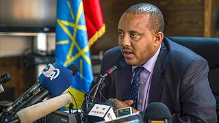 Ethiopian rebels deny that their aim is to take over the capital