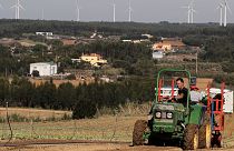 Agricultor trabalha numa plantação de couves, na região Oeste de Portugal