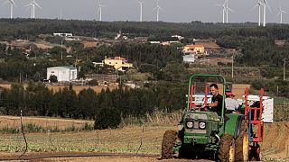 Ein portugiesischer Landwirt bei der Arbeit - Aber: wie lange noch?
