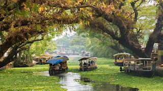 Kerala, India 