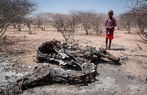 Kenya'yı tehdit eden kuraklık 