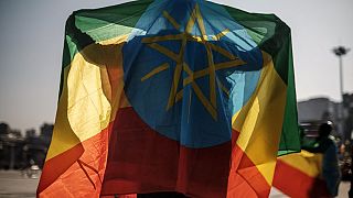 Ethiopie : le groupe armé oromo menace Addis-Abeba