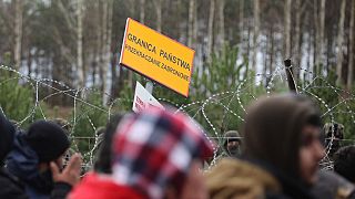 Des milliers de réfugiés tentent d'entrer en Europe à la frontière avec le Bélarus (Région de Grodno, Pologne)