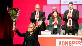 ماگدالنا اندرشون، رهبر جدید حزب سوسیال دموکرات سوئد