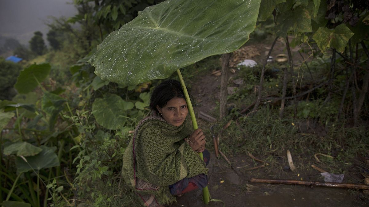 abitra Devi Dzsaiszi 29 éves négygyermekes asszony hatalmas levéllel védekezik az eső ellen otthona előtt