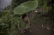 abitra Devi Dzsaiszi 29 éves négygyermekes asszony hatalmas levéllel védekezik az eső ellen otthona előtt