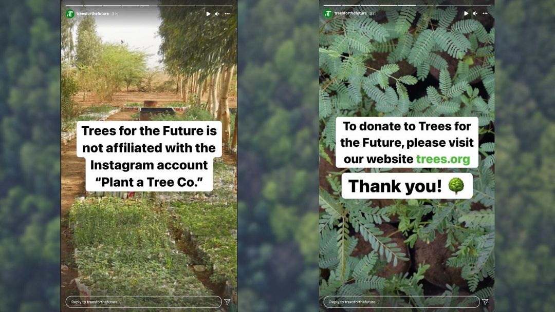 Will sharing photos of your pets really help plant trees? No, but that