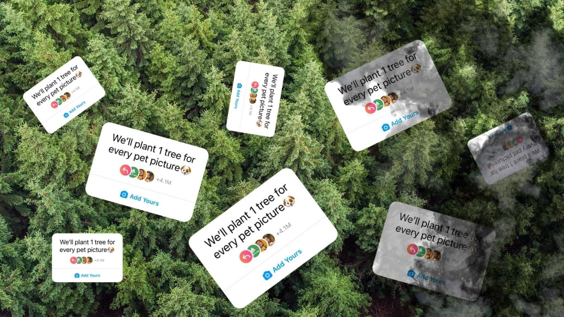 Will sharing photos of your pets really help plant trees? No, but that