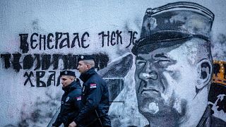 Proteste und Festnahmen in Belgrad - Mladic-Graffiti sorgt für Kontroversen