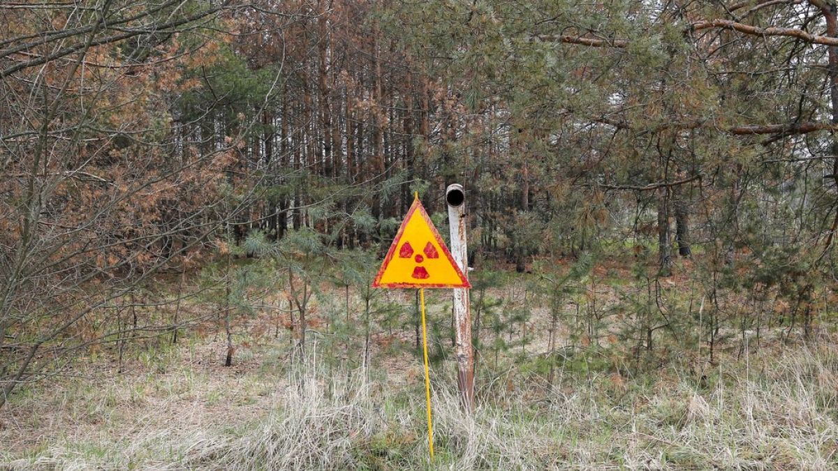 Panneau signalant de la radioactivité près de Tchernobyl (Ukraine) - photo prise le 05/04/2017