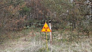 Panneau signalant de la radioactivité près de Tchernobyl (Ukraine) - photo prise le 05/04/2017