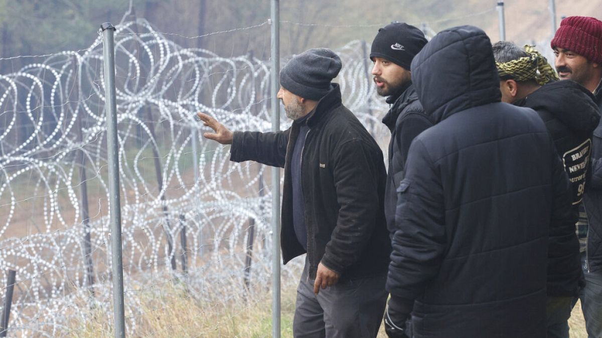 Polonya-Belarus sınırında sıkışan göçmenler