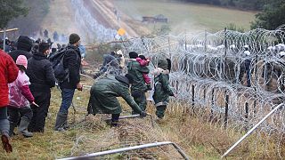 Des migrants à la frontière polonaise, le 8 novembre 2021 (Région de Grodno, Pologne)