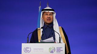  وزير الطاقة السعودي الأمير عبد العزيز بن سلمان آل سعود
