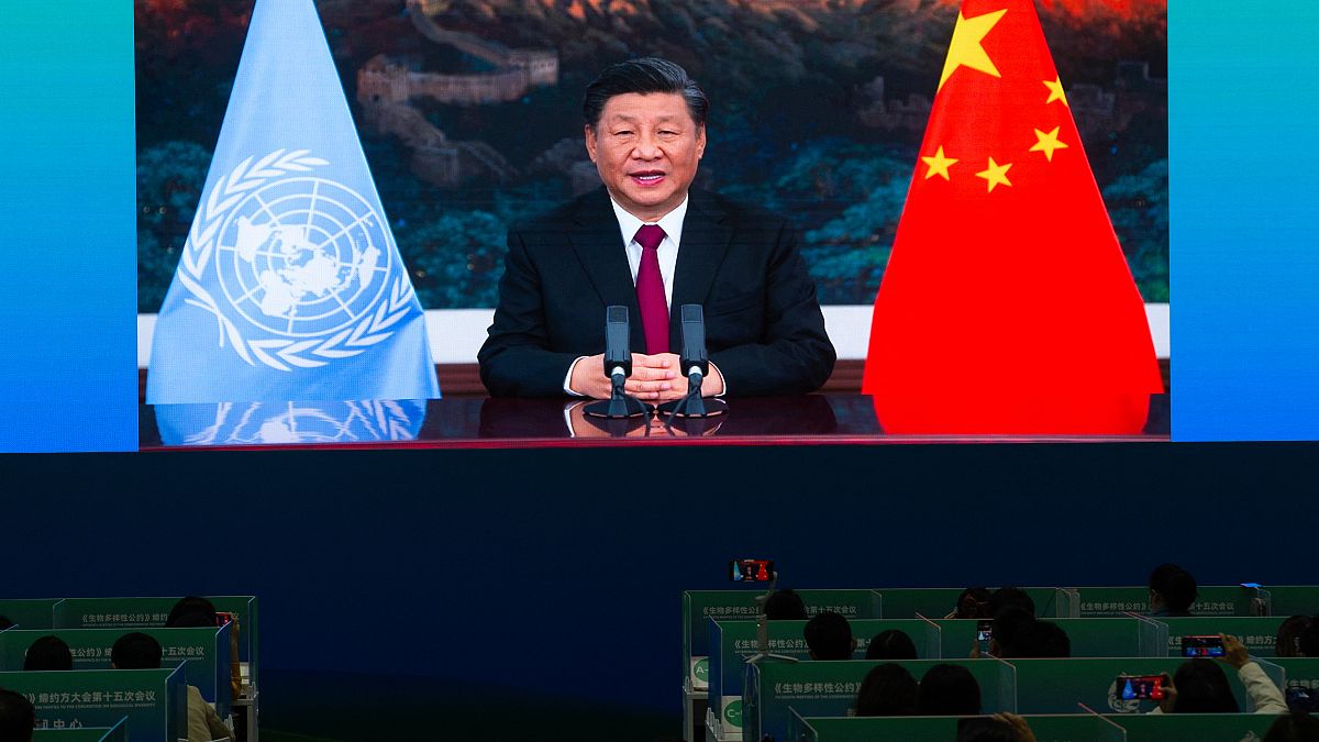 الرئيس الصيني شي جبيبينغ. 