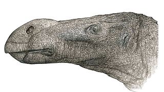 Artist's impression of the Brighstoneus simmondsi