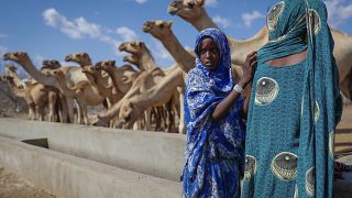 World Food Programme warns of high levels of malnutrition in northern Kenya