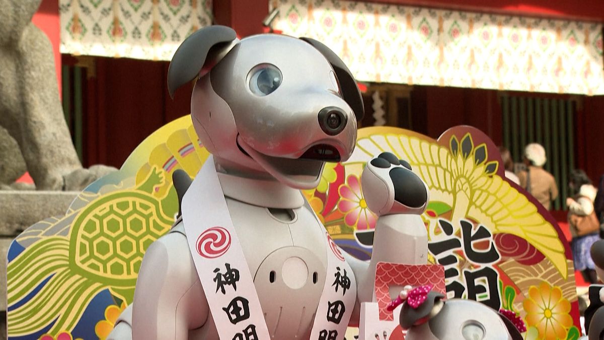В токийском храме получили благословение собаки-роботы 