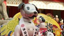 Japan's robotic dog owners celebrate children festival with their Aibos