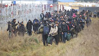 Binlerce göçmen Belarus ve Polonya arasında sıkışmış durumda