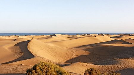 The Dunes of Maspalomas are one of Europe’s last naturally moving dune fields.