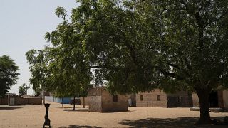 Sénégal : la "Grande muraille verte" loin d'aboutir pour 2030