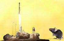 A SpaceX rocket brought the new crew members to the International Space Station.