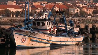 Costa portuguesa - Projeto Biorede - nova rede de pesca biodegradável