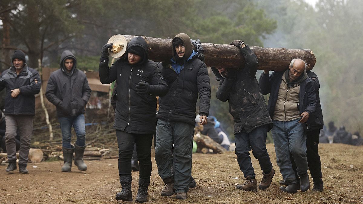 Männer an der belarussisch-polnischen Grenze schleppen einen Baumstamm
