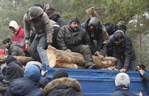 A group of migrants unload a truck with tree trunks delivered by the Belarusian officials in a camp on the Belarusian-Polish border in the Grodno region on November 14, 2021.