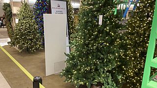 Dans un magasin de vente de sapins de Noël à Denver (USA), le 22/10/2021