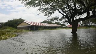 kenya: Homes ans shools are submerged due to overflow of lakes 